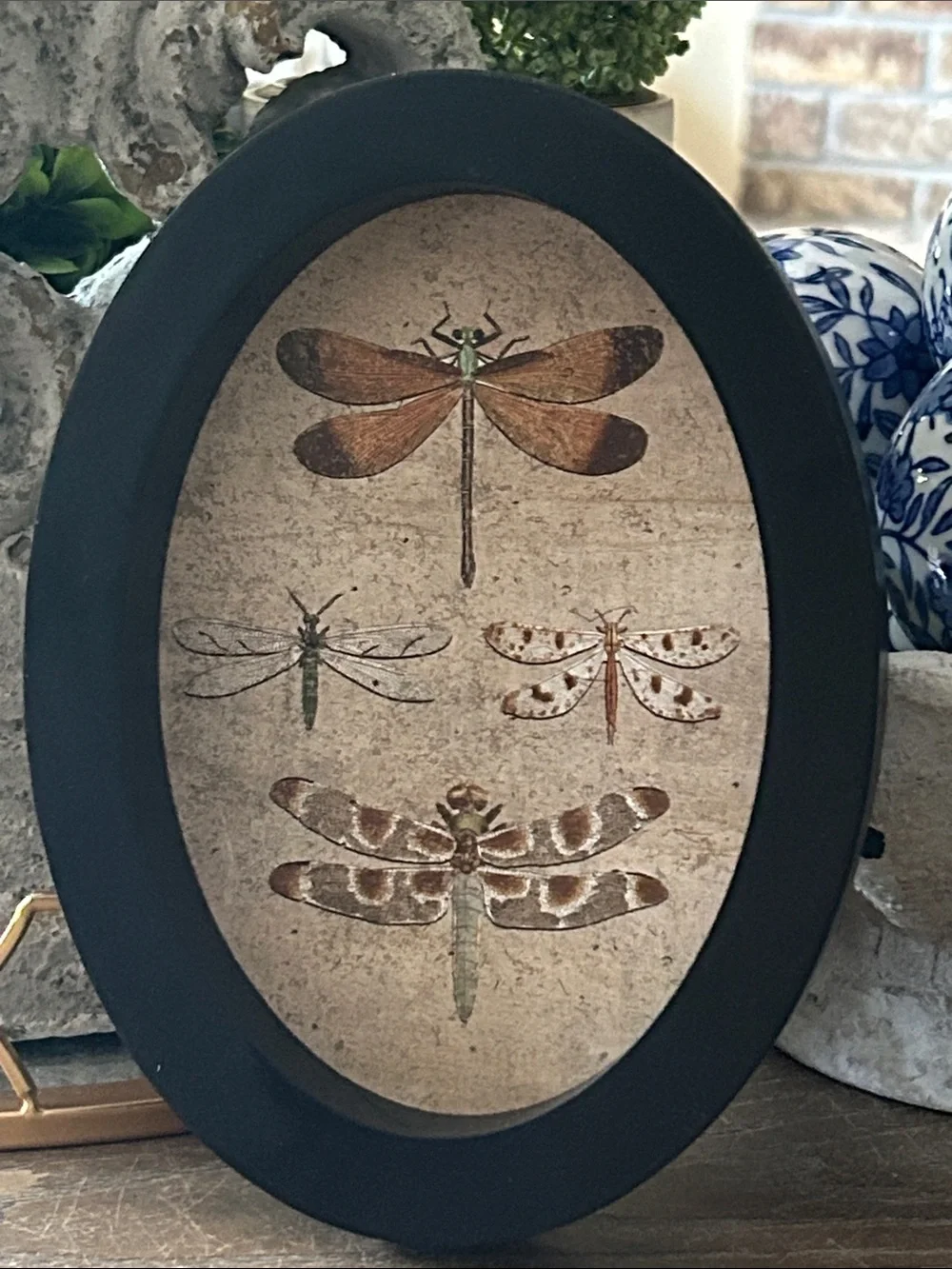 NEW! Vintage Inspired Shabby Chic Black Oval Cameo Dragonfly Wall Art